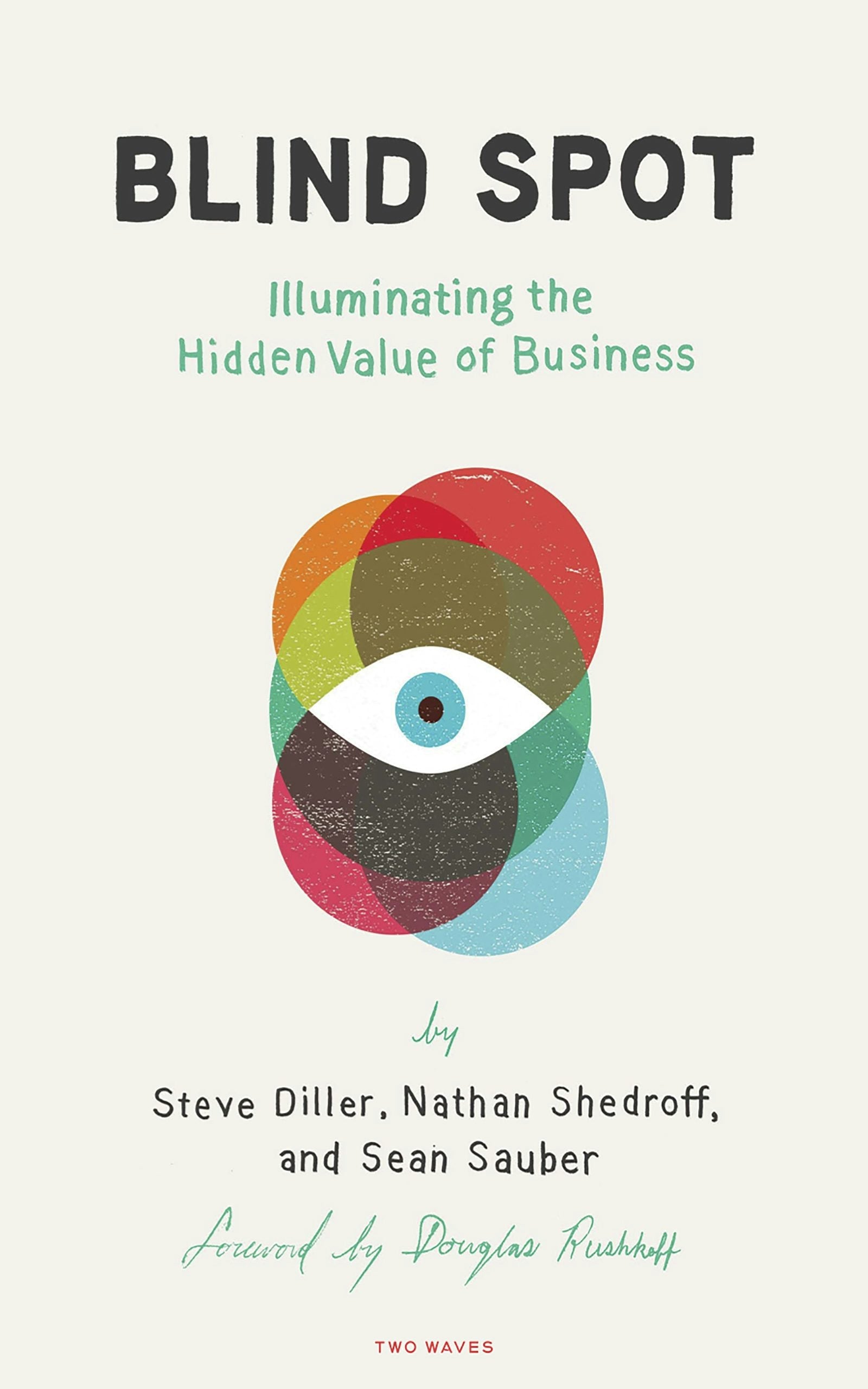 Book cover image for Blind Spot ISBN: 9781933820699